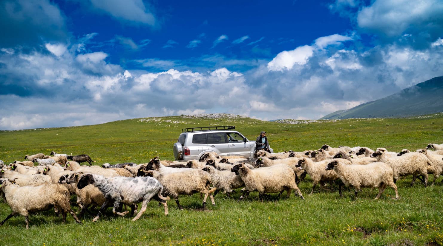 Livno cheese country